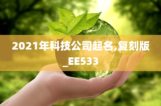 2021年科技公司起名,复刻版_EE533