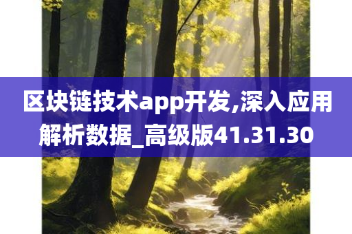 区块链技术app开发,深入应用解析数据_高级版41.31.30