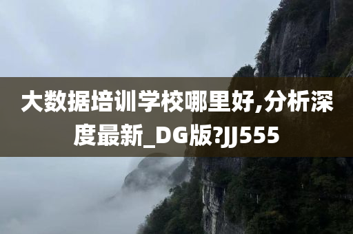 大数据培训学校哪里好,分析深度最新_DG版?JJ555