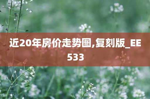 近20年房价走势图,复刻版_EE533