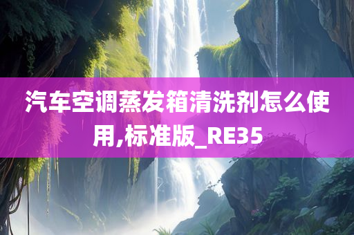 汽车空调蒸发箱清洗剂怎么使用,标准版_RE35