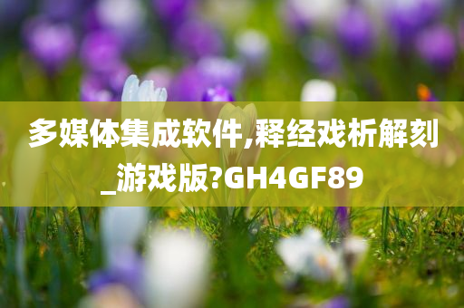 多媒体集成软件,释经戏析解刻_游戏版?GH4GF89