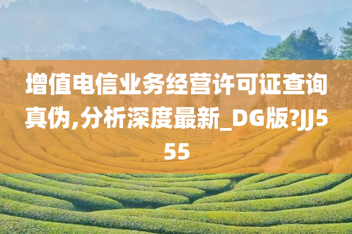 增值电信业务经营许可证查询真伪,分析深度最新_DG版?JJ555