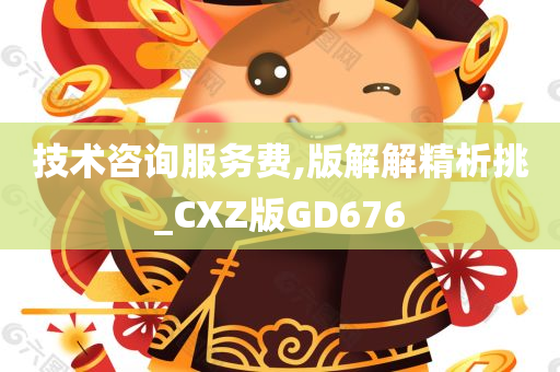 技术咨询服务费,版解解精析挑_CXZ版GD676