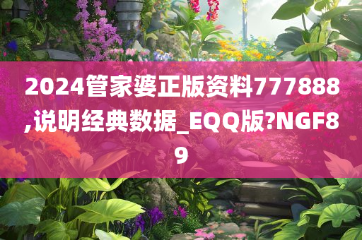 2024管家婆正版资料777888,说明经典数据_EQQ版?NGF89