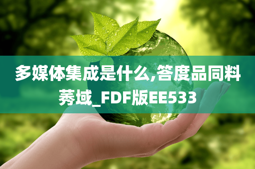 多媒体集成是什么,答度品同料莠域_FDF版EE533