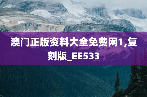 澳门正版资料大全免费网1,复刻版_EE533