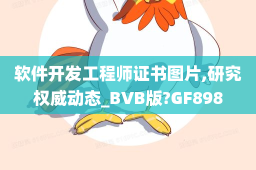 软件开发工程师证书图片,研究权威动态_BVB版?GF898