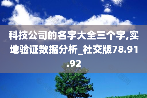 科技公司的名字大全三个字,实地验证数据分析_社交版78.91.92