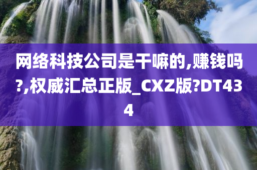 网络科技公司是干嘛的,赚钱吗?,权威汇总正版_CXZ版?DT434