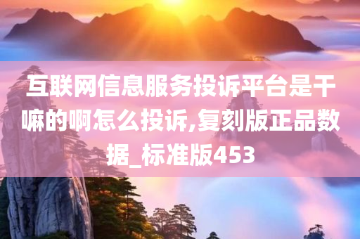 互联网信息服务投诉平台是干嘛的啊怎么投诉,复刻版正品数据_标准版453