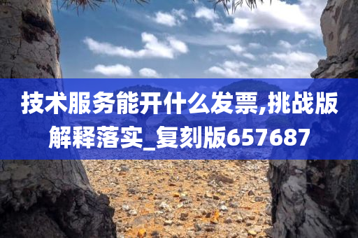 技术服务能开什么发票,挑战版解释落实_复刻版657687