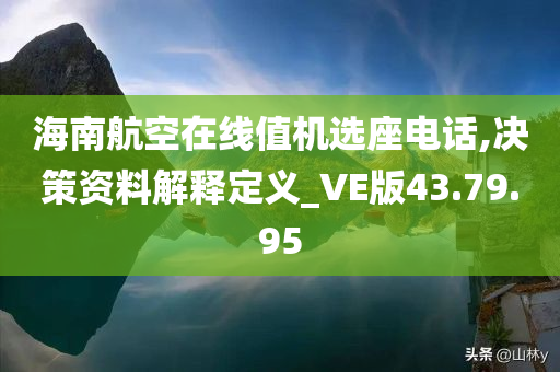 海南航空在线值机选座电话,决策资料解释定义_VE版43.79.95