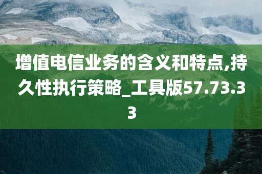 增值电信业务的含义和特点,持久性执行策略_工具版57.73.33