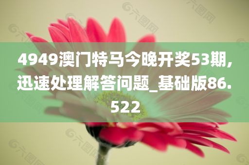 4949澳门特马今晚开奖53期,迅速处理解答问题_基础版86.522