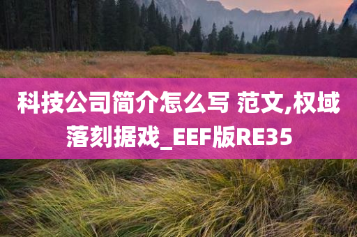 科技公司简介怎么写 范文,权域落刻据戏_EEF版RE35