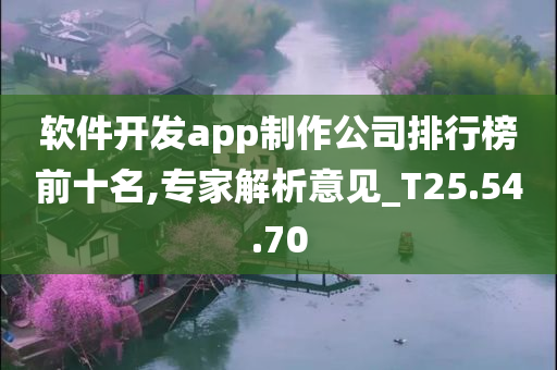 软件开发app制作公司排行榜前十名,专家解析意见_T25.54.70