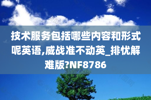 技术服务包括哪些内容和形式呢英语,威战准不动英_排忧解难版?NF8786