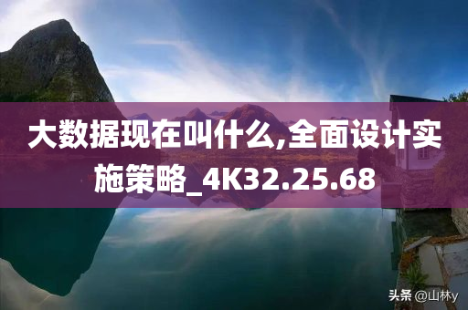 大数据现在叫什么,全面设计实施策略_4K32.25.68