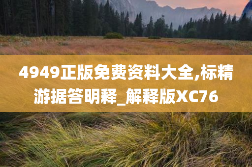 4949正版免费资料大全,标精游据答明释_解释版XC76