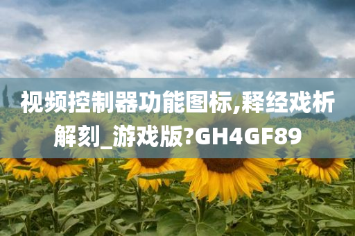 视频控制器功能图标,释经戏析解刻_游戏版?GH4GF89