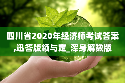 四川省2020年经济师考试答案,迅答版领与定_浑身解数版