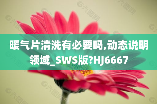 暖气片清洗有必要吗,动态说明领域_SWS版?HJ6667