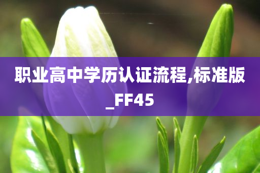 职业高中学历认证流程,标准版_FF45