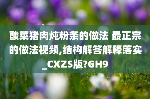 酸菜猪肉炖粉条的做法 最正宗的做法视频,结构解答解释落实_CXZS版?GH9