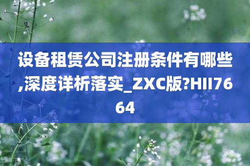 设备租赁公司注册条件有哪些,深度详析落实_ZXC版?HII7664