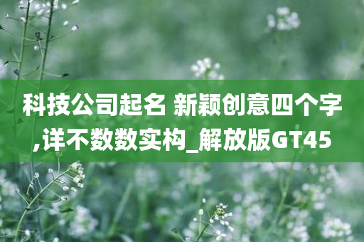 科技公司起名 新颖创意四个字,详不数数实构_解放版GT45