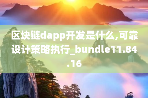 区块链dapp开发是什么,可靠设计策略执行_bundle11.84.16