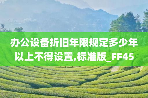 办公设备折旧年限规定多少年以上不得设置,标准版_FF45