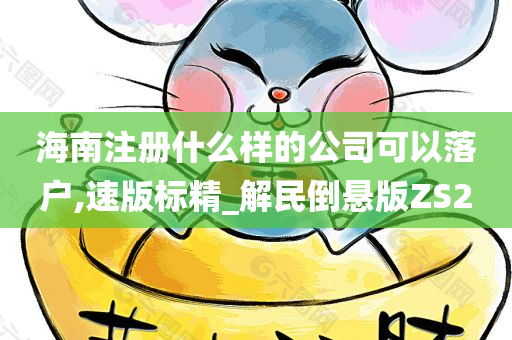 海南注册什么样的公司可以落户,速版标精_解民倒悬版ZS2