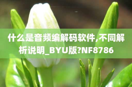 什么是音频编解码软件,不同解析说明_BYU版?NF8786