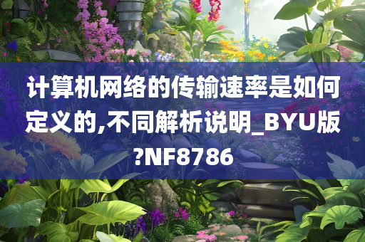 计算机网络的传输速率是如何定义的,不同解析说明_BYU版?NF8786