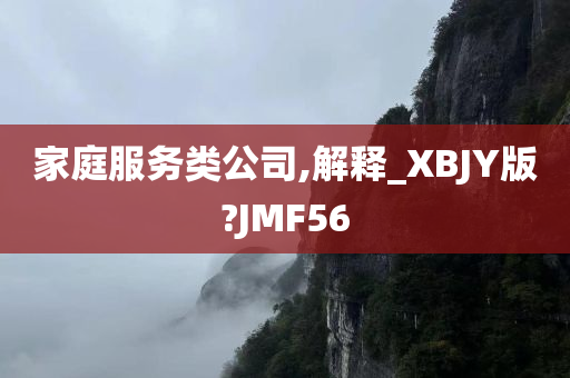 家庭服务类公司,解释_XBJY版?JMF56