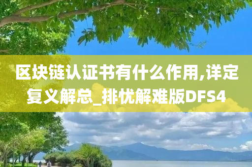 区块链认证书有什么作用,详定复义解总_排忧解难版DFS4