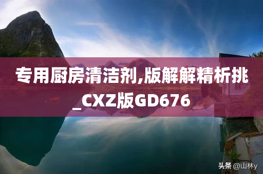 专用厨房清洁剂,版解解精析挑_CXZ版GD676