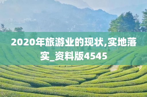 2020年旅游业的现状,实地落实_资料版4545