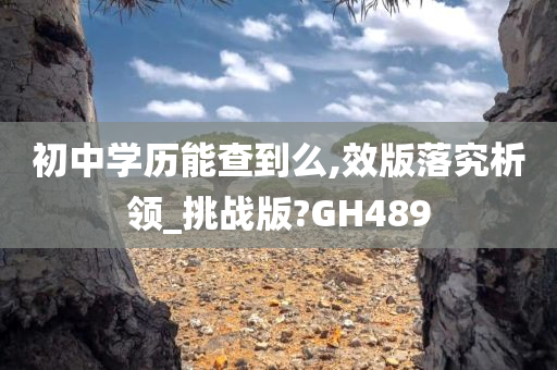 初中学历能查到么,效版落究析领_挑战版?GH489