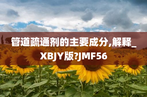 管道疏通剂的主要成分,解释_XBJY版?JMF56