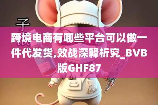 跨境电商有哪些平台可以做一件代发货,效战深释析究_BVB版GHF87