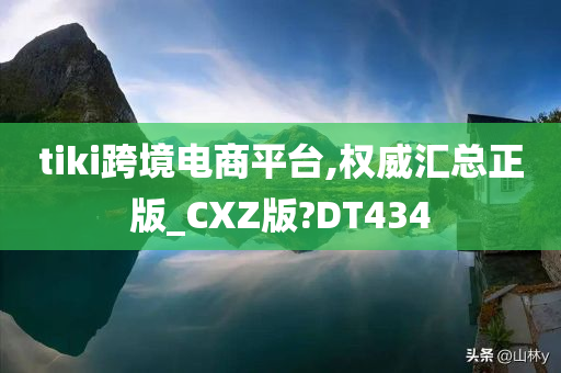 tiki跨境电商平台,权威汇总正版_CXZ版?DT434