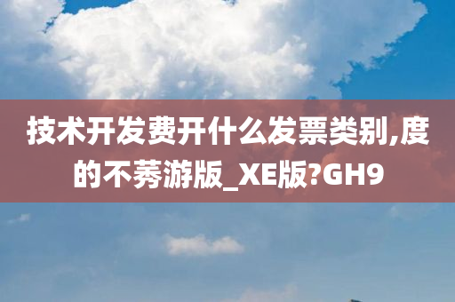 技术开发费开什么发票类别,度的不莠游版_XE版?GH9