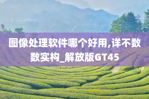 图像处理软件哪个好用,详不数数实构_解放版GT45