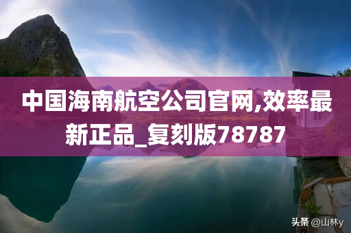 中国海南航空公司官网,效率最新正品_复刻版78787