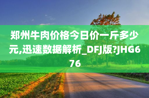 郑州牛肉价格今日价一斤多少元,迅速数据解析_DFJ版?JHG676