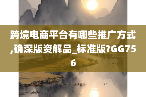 跨境电商平台有哪些推广方式,确深版资解品_标准版?GG756