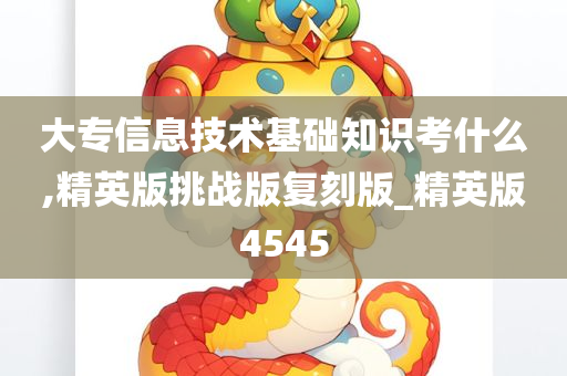 大专信息技术基础知识考什么,精英版挑战版复刻版_精英版4545